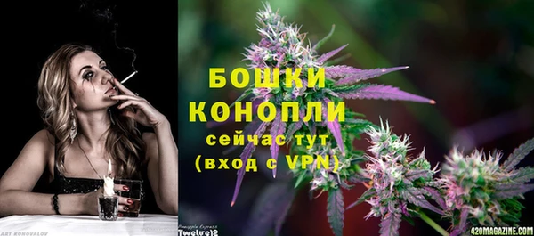 твердый Бородино