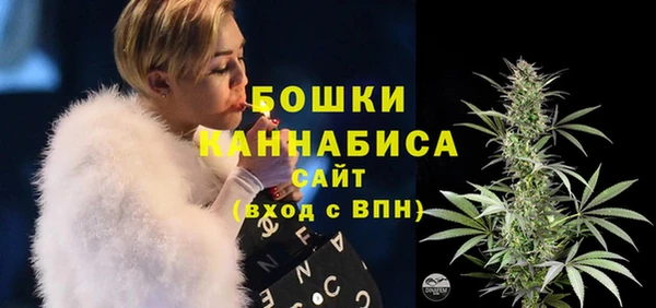 PSILOCYBIN Мегион
